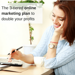 Online marketing plan to double profits